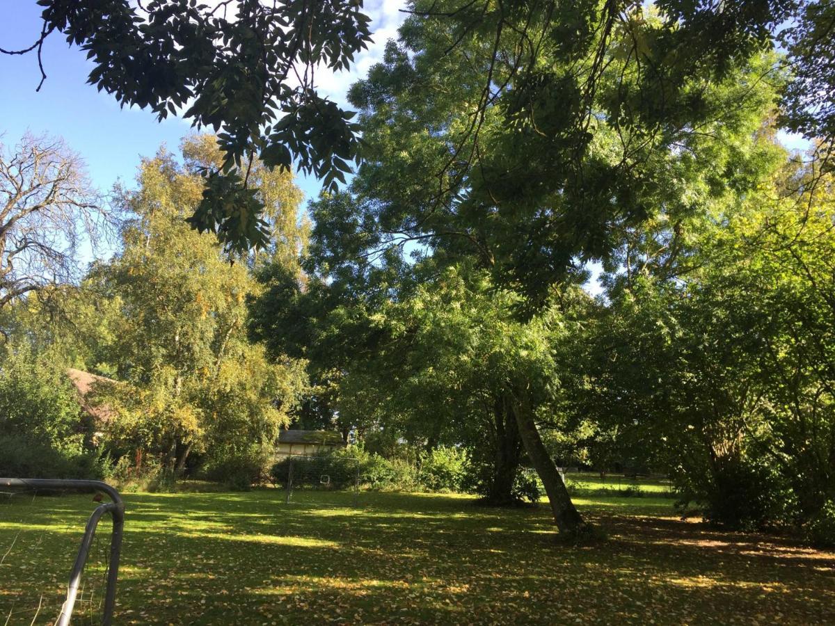 Ferienhaus 1 _ Ferien Im Gutspark Mattchow المظهر الخارجي الصورة